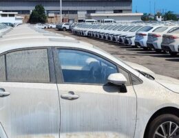 تبدیل پلاک خودروهای مناطق آزاد متوقف ماند