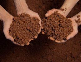 بررسی تخصصی انواع خاک رس و کاربرد های آن در ساختمان سازی